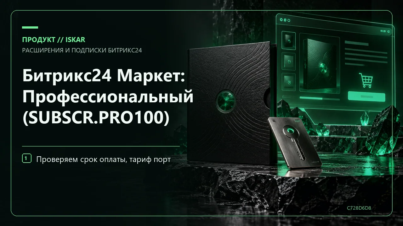 Битрикс24 Маркет: Профессиональный (SUBSCR.PRO100) фото